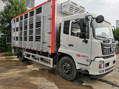 曲靖豬苗運(yùn)輸車價(jià)格及豬仔調(diào)運(yùn)車廠家概覽，兼談吸污車市場(chǎng)
