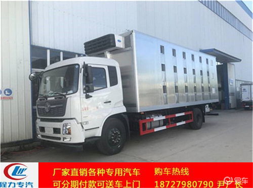 歐馬可4.18米廂長仔豬運輸車價格解析與選購指南